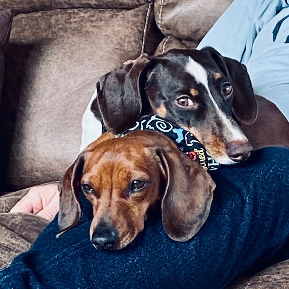 Meet your Posher, Eric - Picture 1 of 3